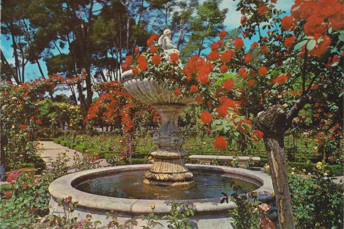 Post Cards / Maxi Card not used