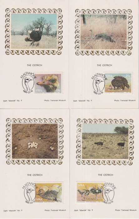 Post Cards / Maxi Card Limited edition Silk