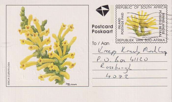 Post Cards / Maxi Card / Postal History / Pre paid Post Card Used
