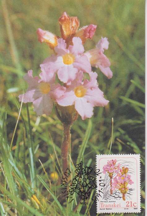 Post Cards / Maxi Card Not used