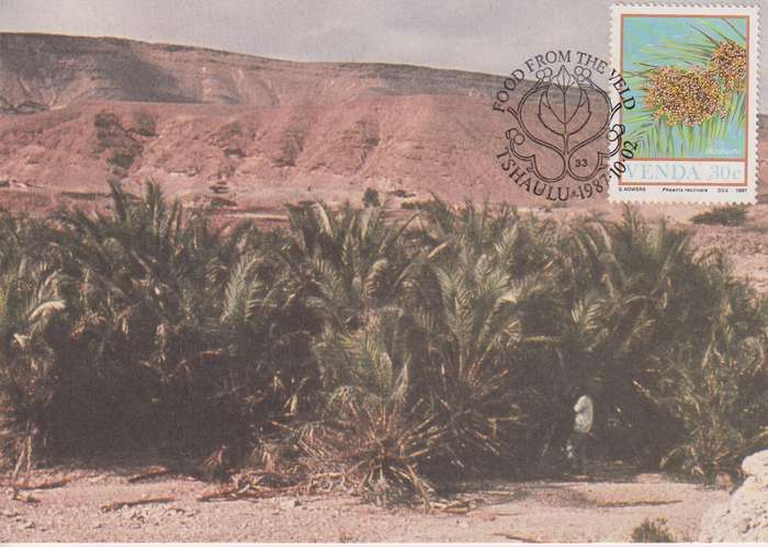 Post Cards / Maxi Card Not used