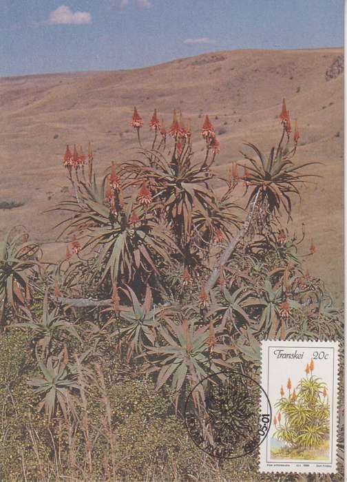 Post Cards / Maxi Card Not used