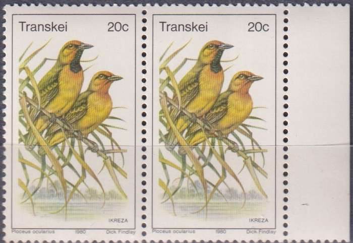 Stamp Thematic Birds