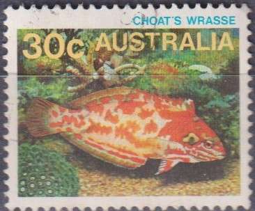 Stamp Thematic Fish