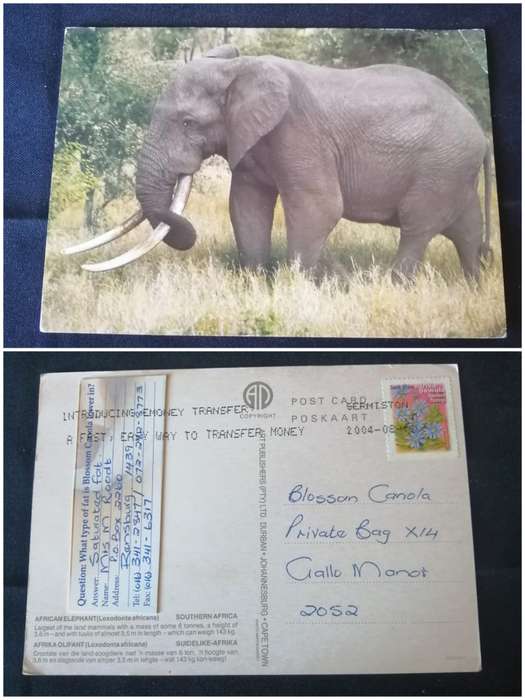 Post Cards / Maxi Card used