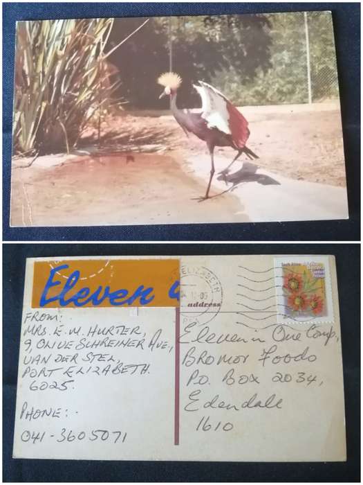 Post Cards / Maxi Card used