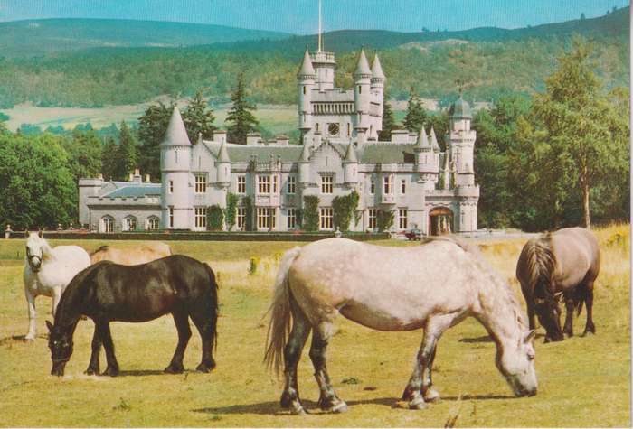 Post Cards / Maxi Card