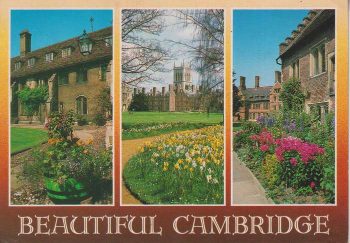 Post Cards / Maxi Card