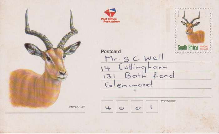 Post Cards / Maxi Card