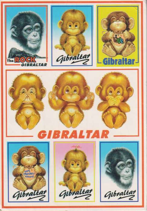 Post Cards / Maxi Card