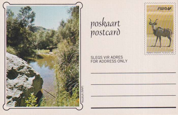 Post Card / Maxi Card