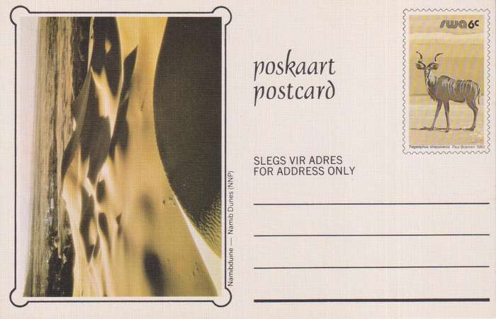 Post Card / Maxi Card