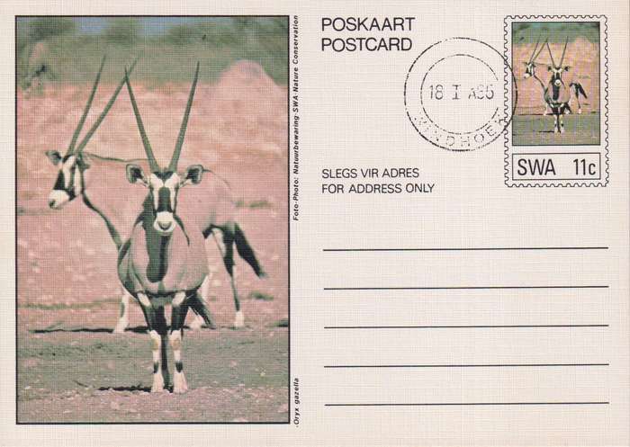 Post Card / Maxi Card