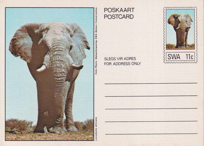 Post Card / Maxi Card