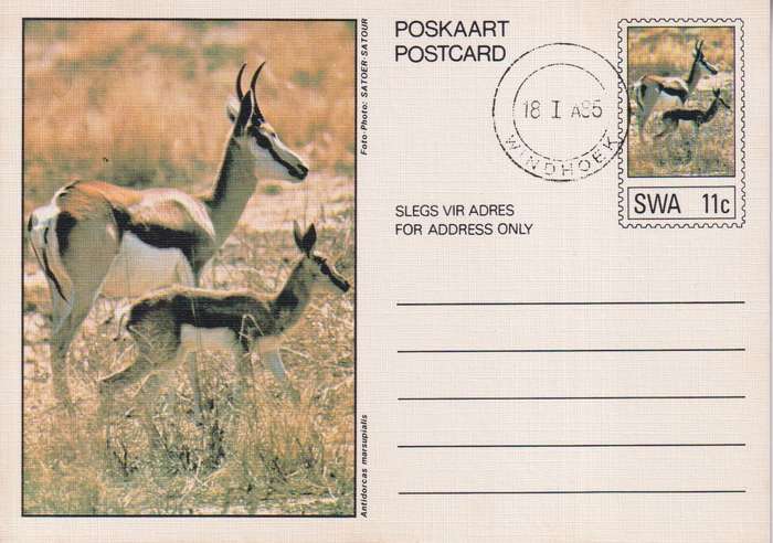 Post Card / Maxi Card