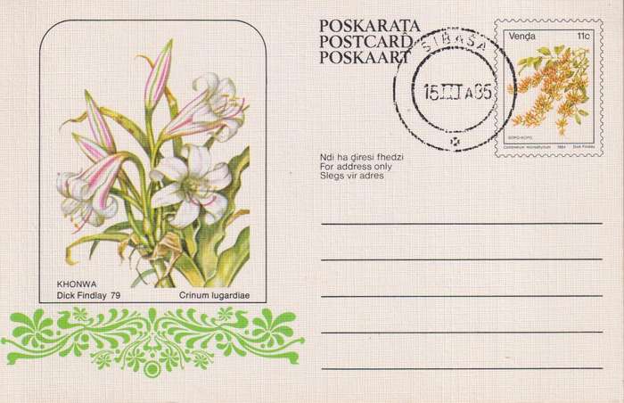 Post Card / Maxi Card