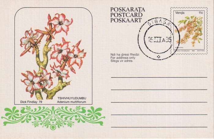 Post Card / Maxi Card