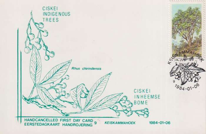 Post Card / Maxi Card