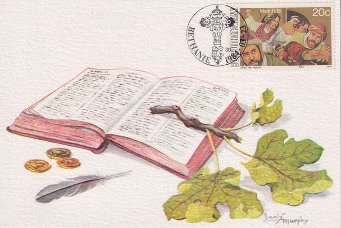 Post Card / Maxi Card