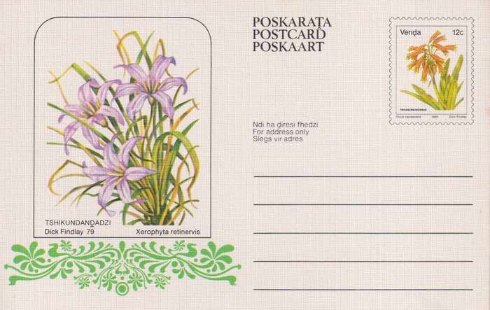 Post Cards / Maxi Card / Postal History