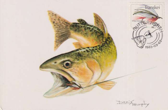 Post Cards / Maxi Card / Postal History