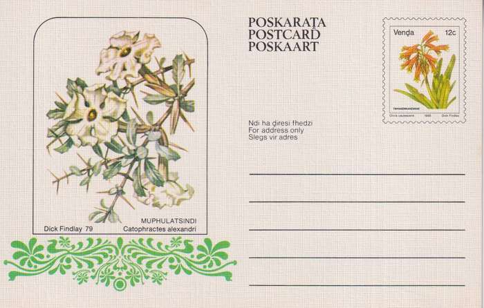 Post Cards / Maxi Card / Postal History
