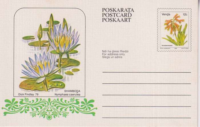 Post Cards / Maxi Card / Postal History