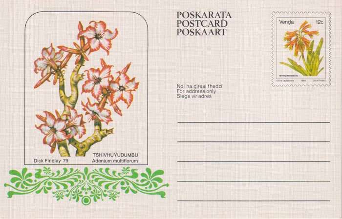 Post Cards / Maxi Card / Postal History