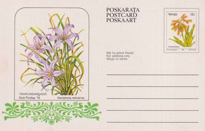 Post Cards / Maxi Card / Postal History