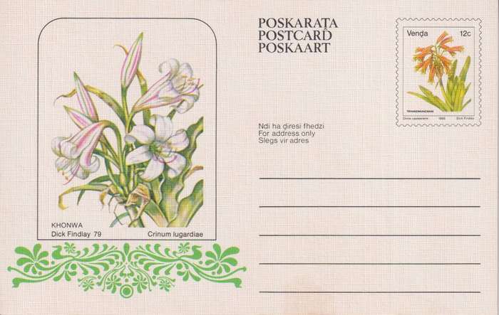 Post Cards / Maxi Card / Postal History