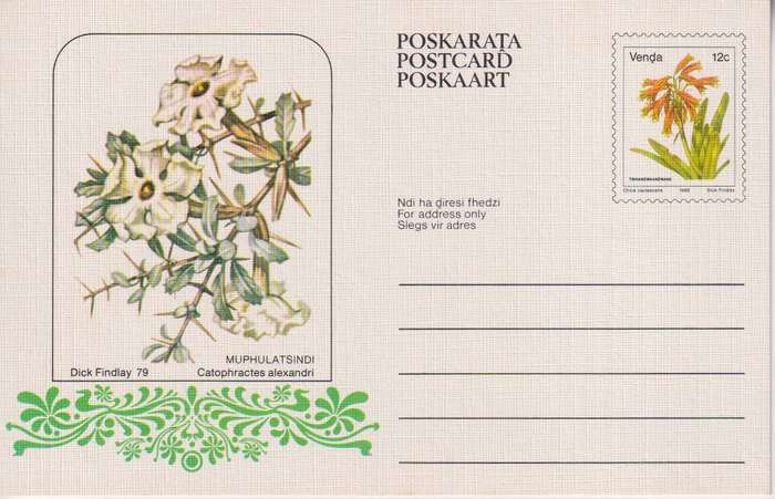 Post Cards / Maxi Card / Postal History
