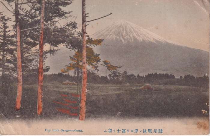 Post Cards / Maxi Card / Postal History