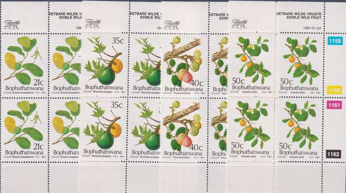 Stamp Control Blocks Bophuthatswana 1991 Edible Wild Fruit