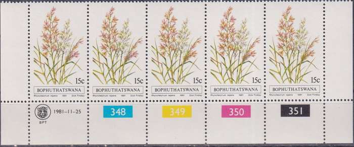 Stamps Control Blocks Bophuthatswana 1981 Indigenous Grasses