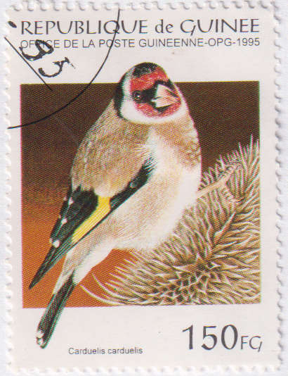 Stamp Thematic Birds ULM Guinea