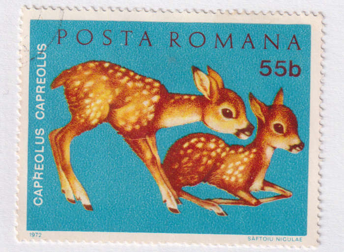 Stamp Thematic Animals ULM Romania