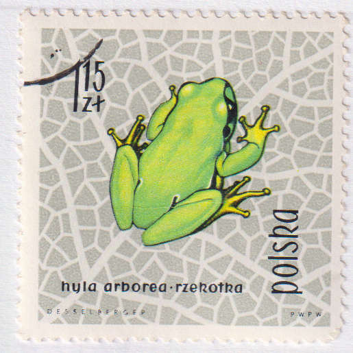 Stamps  1963 Protected Reptiles and Amphibians