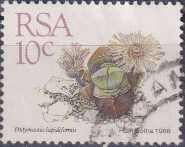 Stamps RSA 1988 Succulents