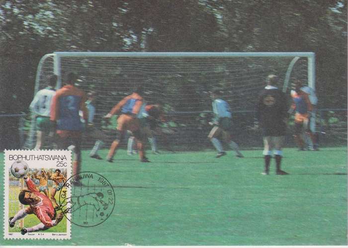 Maxi Card