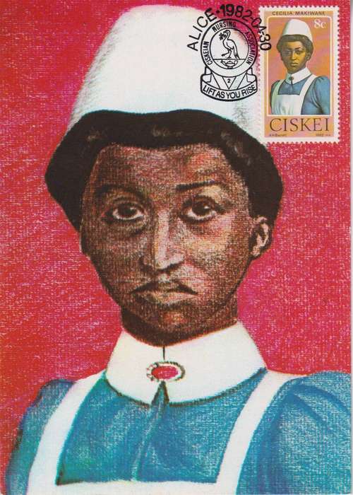 Maxi Card