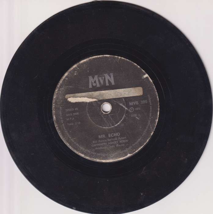 Seven Single LP / Vinyl Gwynneth Ashley Robin