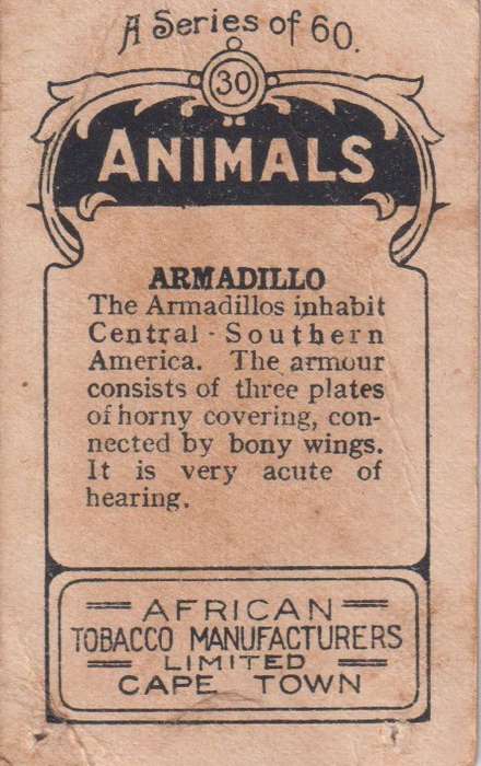 Cigarette Card  Africa Tabaco manufactures Limited Cape Town Animal  30