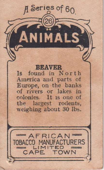 Cigarette Card  Africa Tabaco manufactures Limited Cape Town Animal  26
