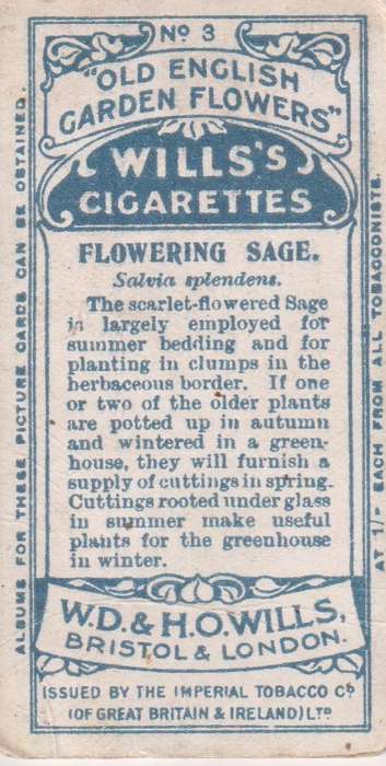 Cigarette Card Old English Garden Flower No. 3