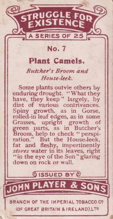 Cigarette Card Struggle for Existence No. 7