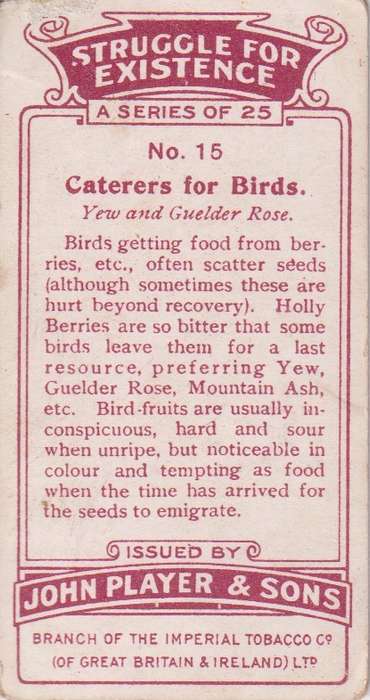 Cigarette Card Struggle for Existence No. 15