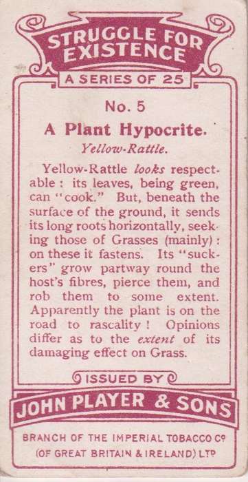 Cigarette Card Struggle for Existence No. 5