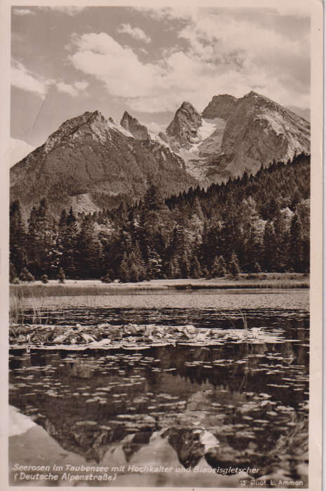 Post Cards / Maxi Card used