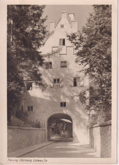 Post Cards / Maxi Card used