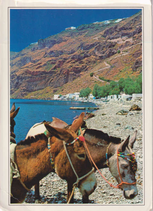 Post Cards / Maxi Card used